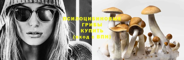 твердый Армянск