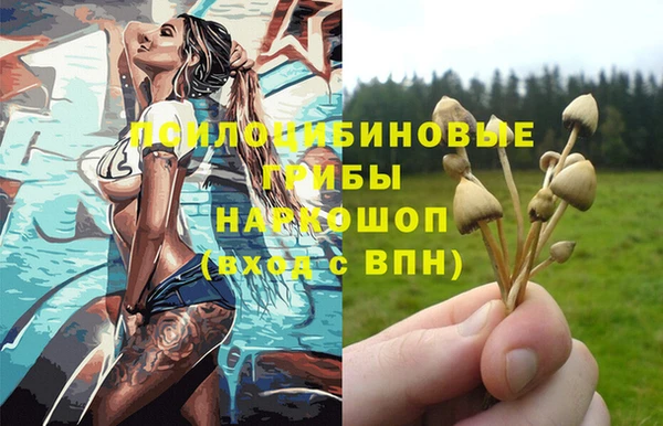 твердый Армянск