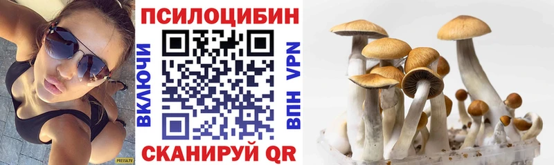 Псилоцибиновые грибы Cubensis  закладки  KRAKEN рабочий сайт  Мыски 